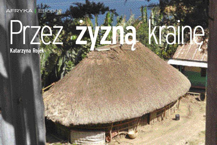 Losowy darmowy artykuł